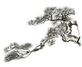 水墨中国风迎客松