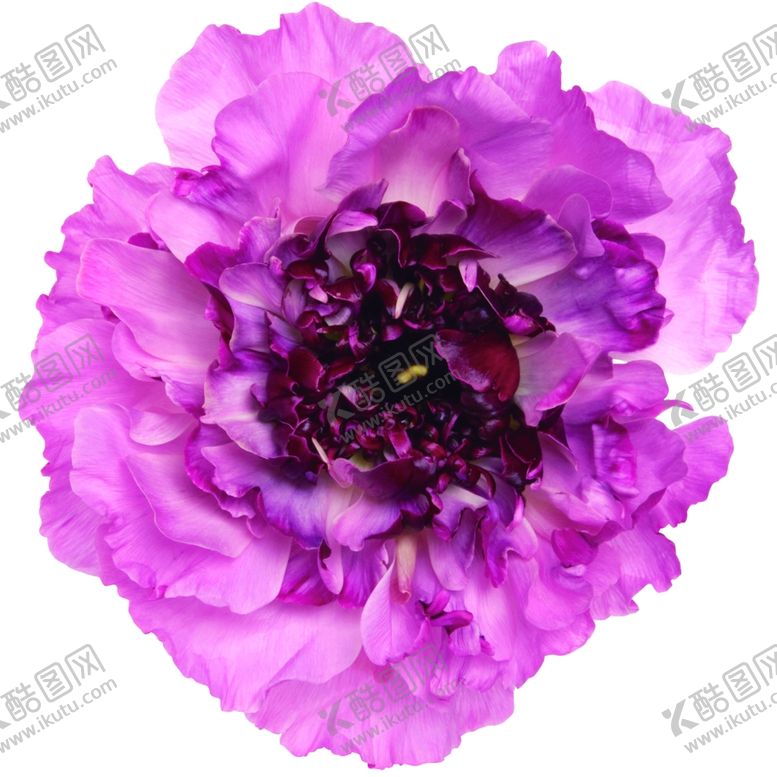 编号：16346807080717125643【酷图网】源文件下载-背景墙花花纹水墨花图片