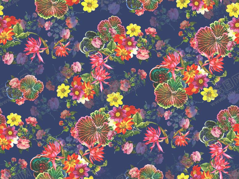 编号：11629610301639404640【酷图网】源文件下载-大牌花卉
