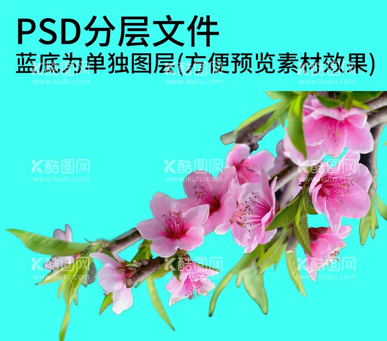 编号：68850110302158343488【酷图网】源文件下载-鲜花花朵png免扣素材