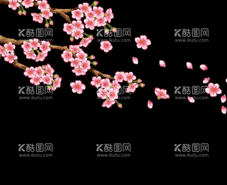 编号：78905309141106348410【酷图网】源文件下载-梅花枝鲜花一枝花