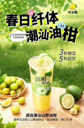 柠檬海报夏日饮料