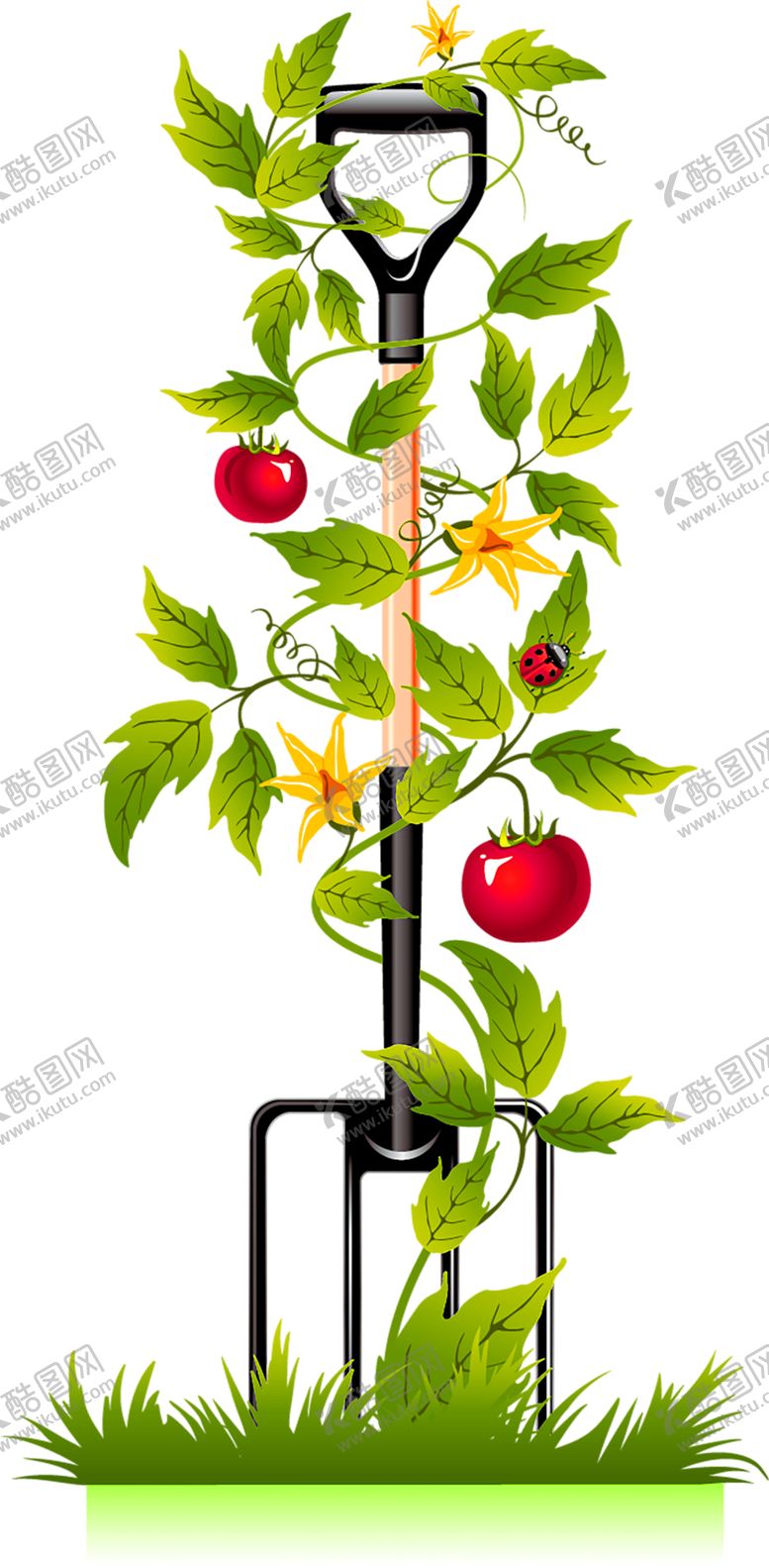 编号：20401310300309556275【酷图网】源文件下载-鲜花装饰