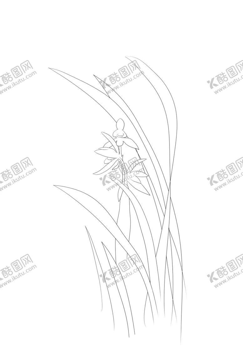 编号：90009206271536422601【酷图网】源文件下载-兰花