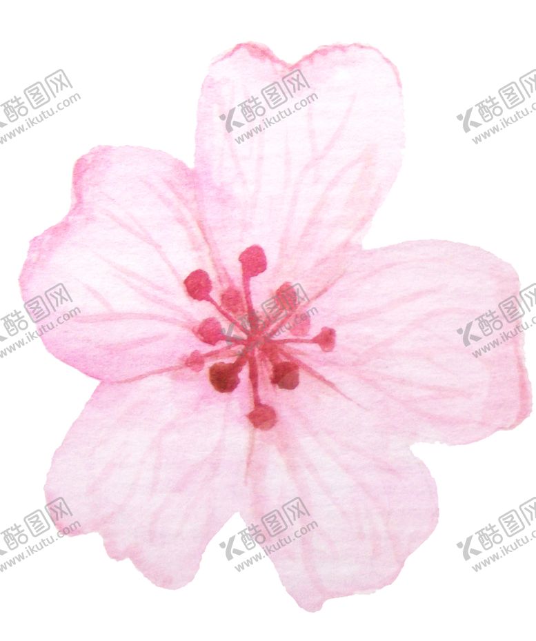 编号：18609110131041141963【酷图网】源文件下载-彩绘植物