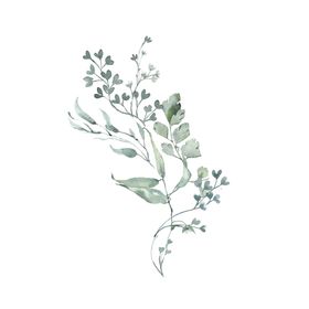 水彩植物小清新函模板