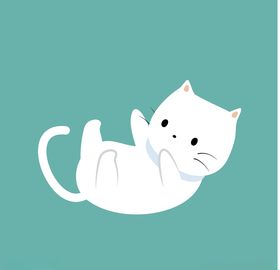 卡通猫