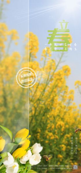 立春海报二十四节气油菜花房地产