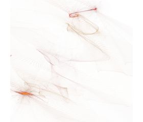 飘带