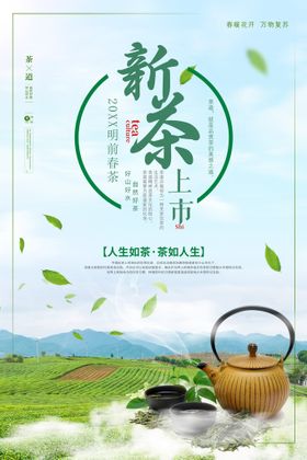 茶叶明前新茶