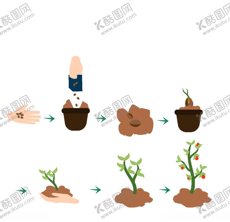 编号：75883909261548252834【酷图网】源文件下载-种植植物过程