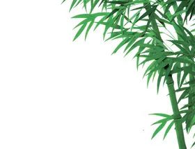 竹子 图片 竹叶 png  手