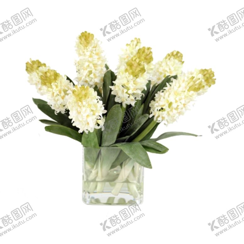 编号：77830706282316585382【酷图网】源文件下载-免抠背景花草树木