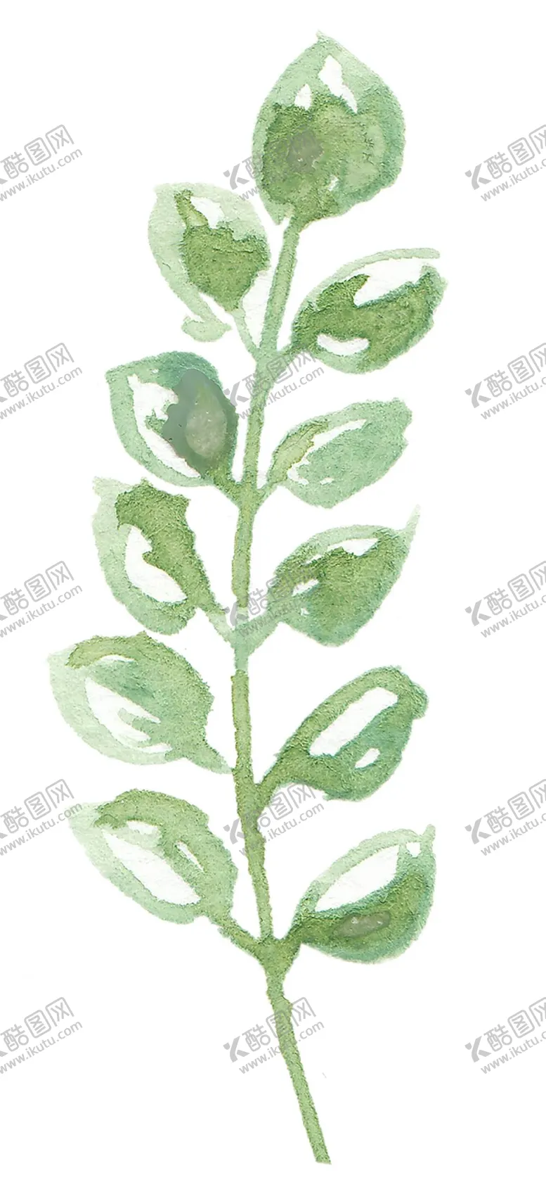 编号：07185609162234378631【酷图网】源文件下载-手绘植物