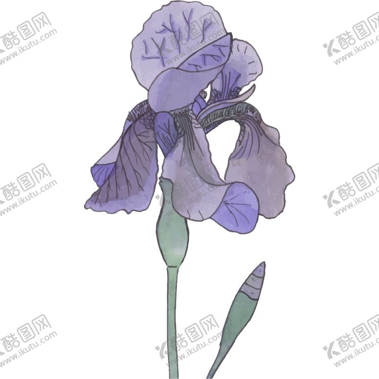 编号：32819006280939317563【酷图网】源文件下载-花图片