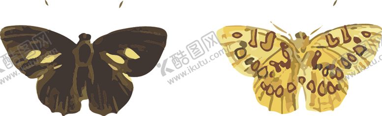 编号：12192010251135335785【酷图网】源文件下载-自然昆虫标本插画