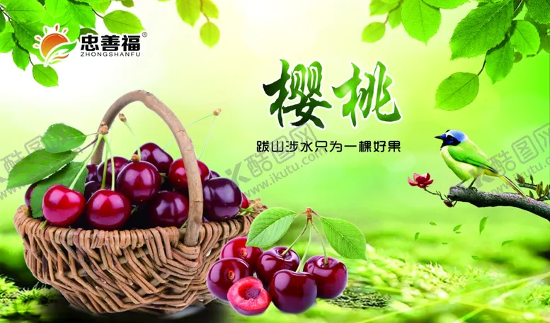 编号：80065304231211075168【酷图网】源文件下载-樱桃