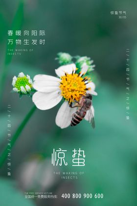 惊蛰