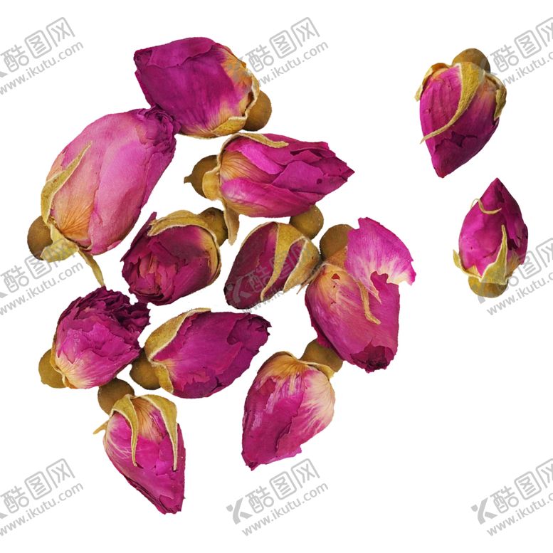 编号：78125410310855223870【酷图网】源文件下载-玫瑰花装饰素材