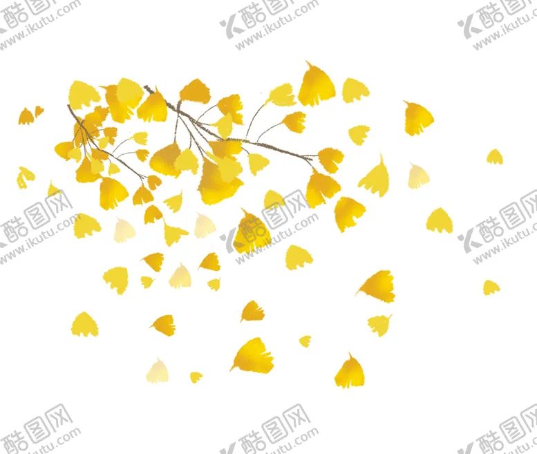 编号：71855906151805255287【酷图网】源文件下载-秋天银杏叶