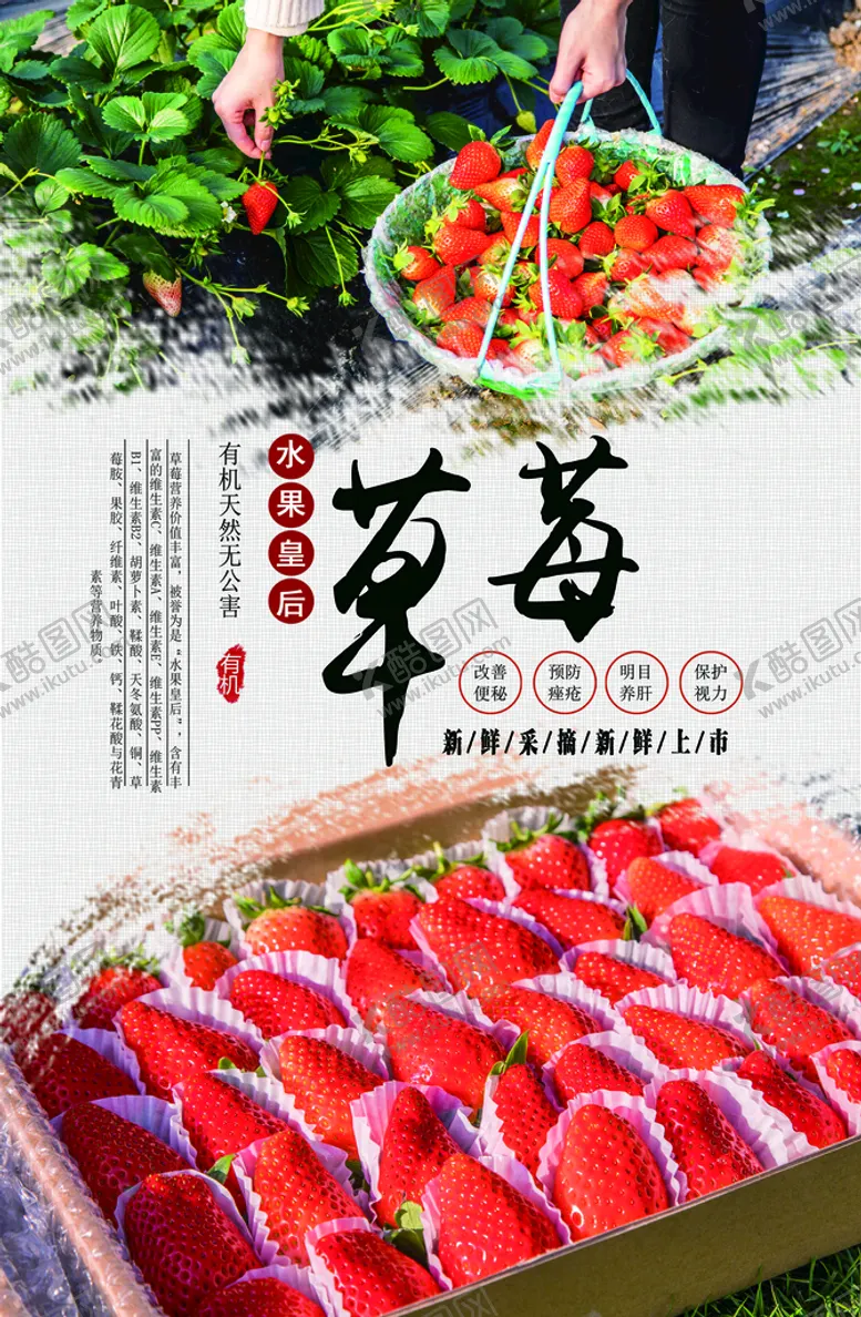 编号：12079809210021289137【酷图网】源文件下载-草莓采摘