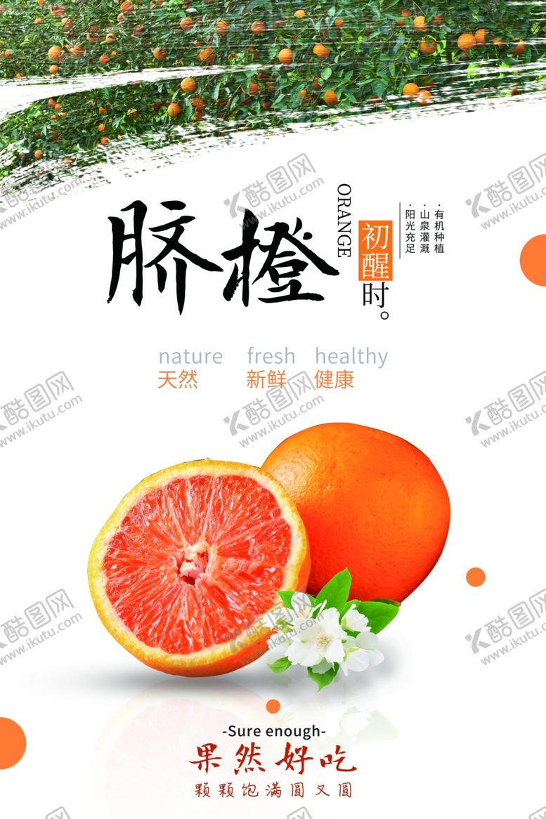 编号：78078510121801274980【酷图网】源文件下载-脐橙