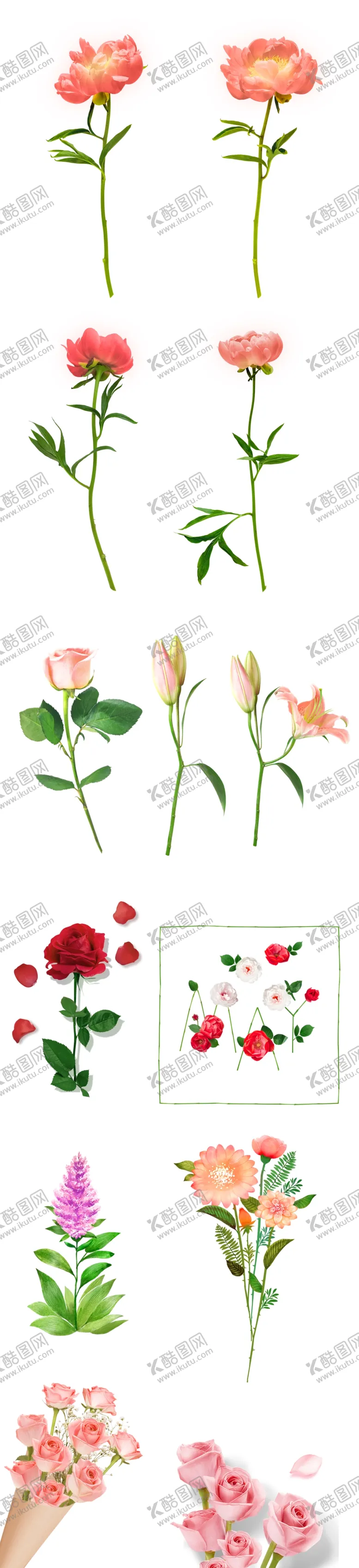 编号：98403209130700392941【酷图网】源文件下载-花枝花束鲜花花朵插画