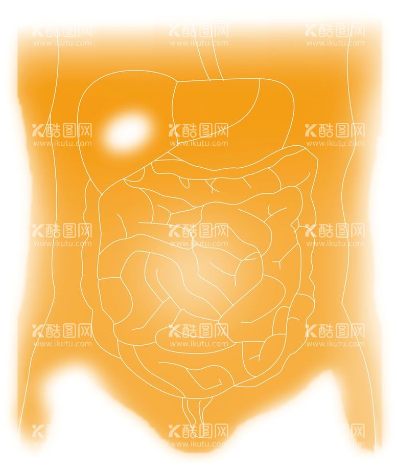 编号：87683111270347571388【酷图网】源文件下载-胃图案