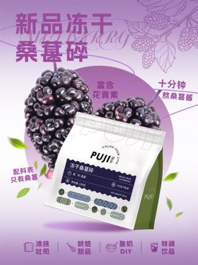 冻干桑葚碎产品新品上市海报