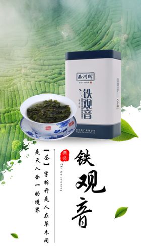 茶引导页