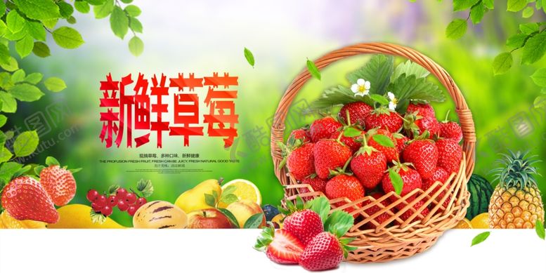 编号：35934210091028047066【酷图网】源文件下载-草莓