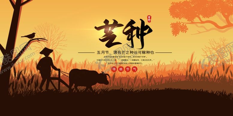 编号：22782010030235575527【酷图网】源文件下载-芒种