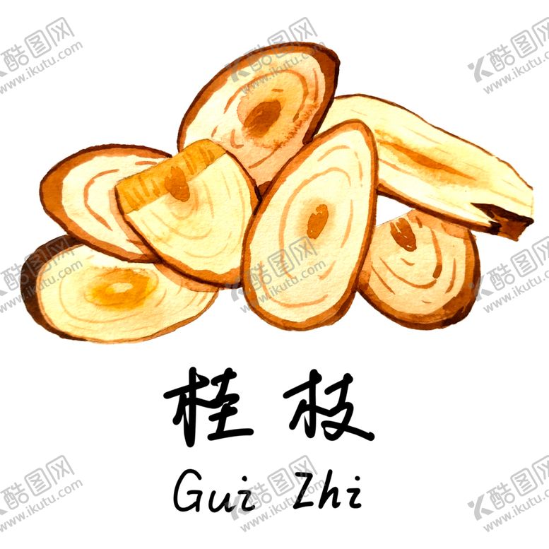 编号：57005406151359284274【酷图网】源文件下载-草本植物药材