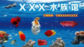 中国风水族名片