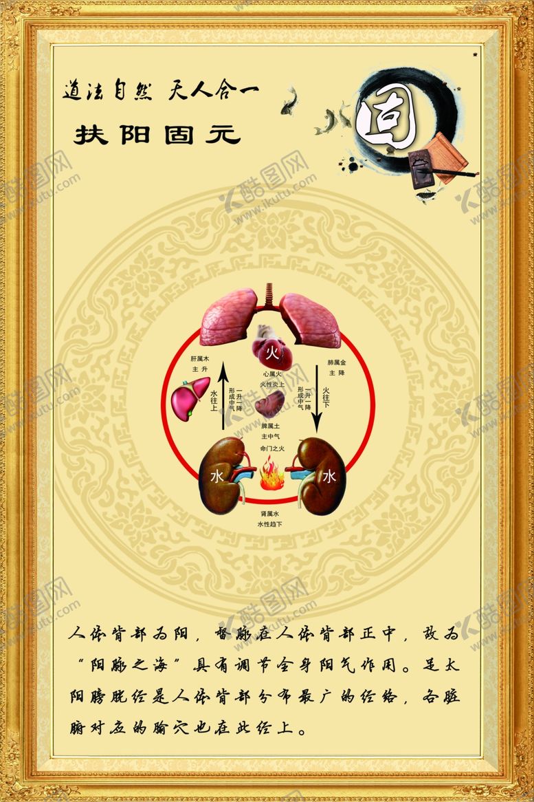编号：16741307010818574350【酷图网】源文件下载-固本养元宣传图