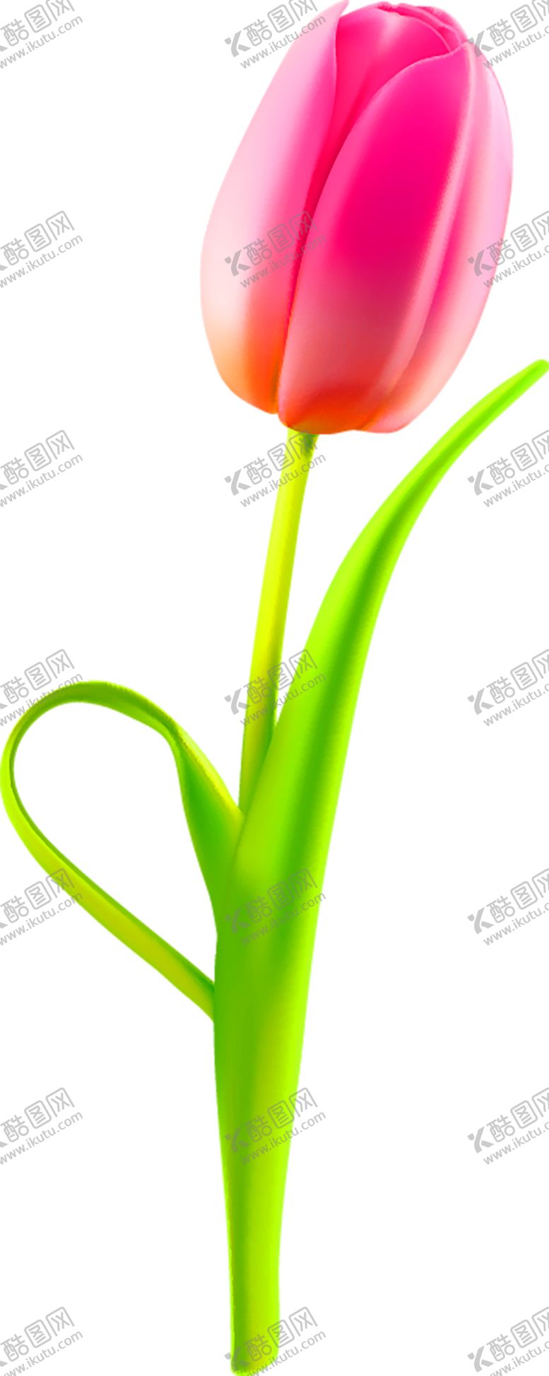 编号：12157709252031056955【酷图网】源文件下载-鲜花装饰