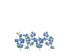 花花