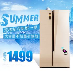 双门大冰箱西门子