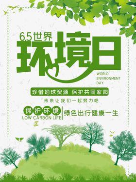 环境日