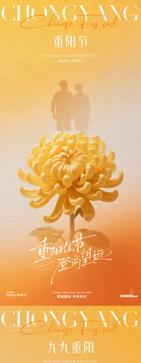 重阳节菊花