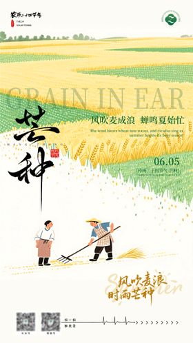 芒种海报