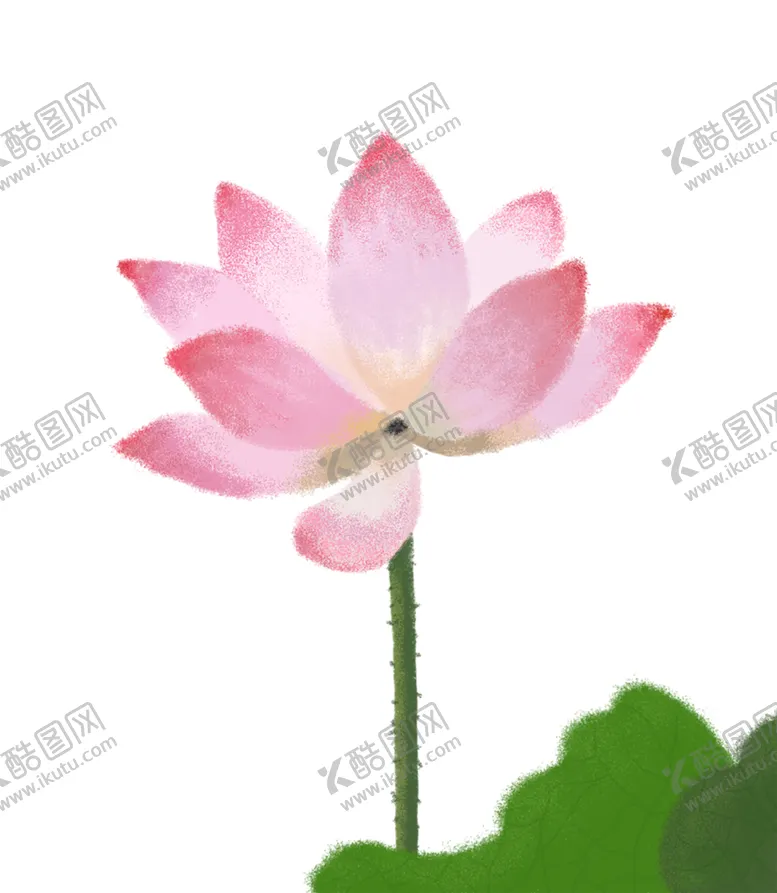 编号：20874704190344115271【酷图网】源文件下载-荷花元素