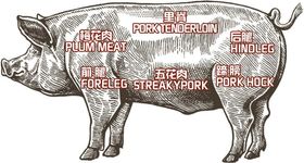 羊肉分割图