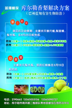 香梨解决方案