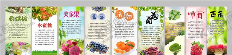 编号：56131609200330316276【酷图网】源文件下载-水果海报