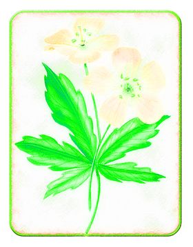 花素材小清新朵朵底纹鲜朵
