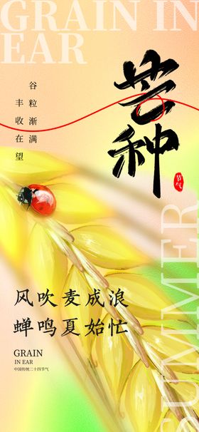 小满海报微信单图初夏