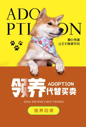 宠物医疗活动宣传海报素材