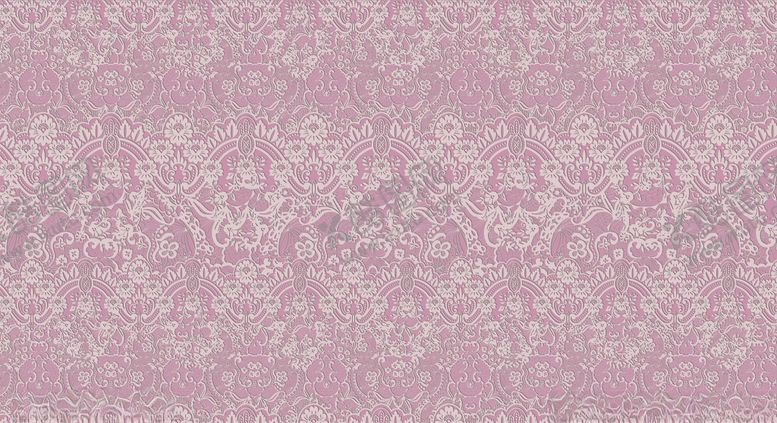 编号：67016609152132436954【酷图网】源文件下载-蕾丝印花