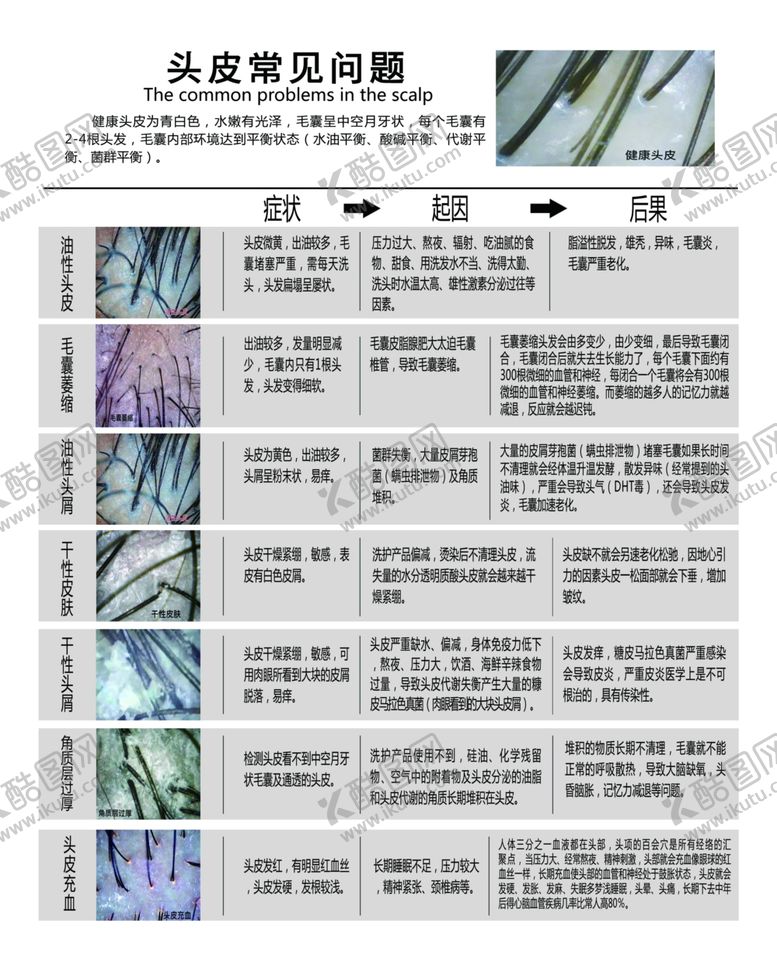 编号：82093101131050569436【酷图网】源文件下载-头皮常见问题